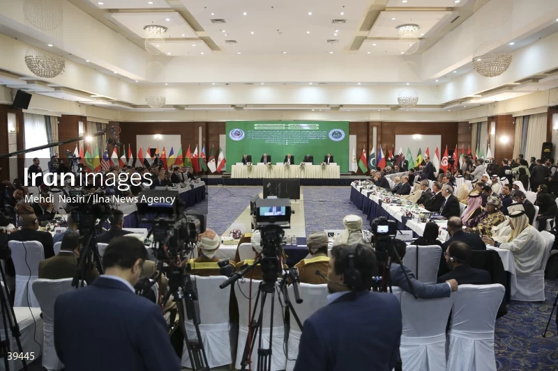 The fifth emergency session of the Permanent Committee on Palestine