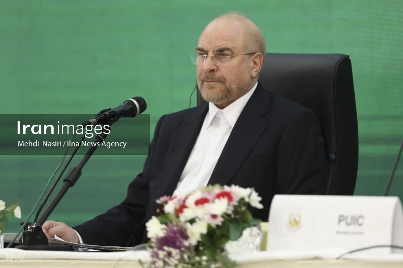 The fifth emergency session of the Permanent Committee on Palestine