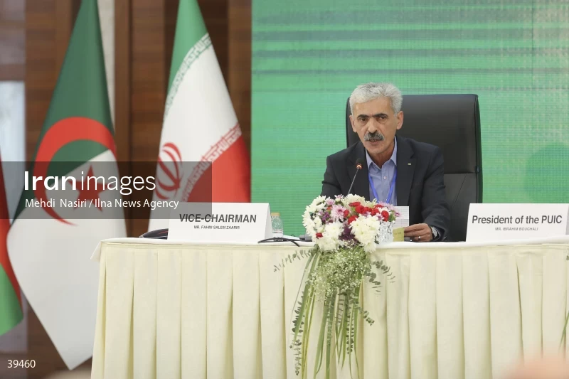 The fifth emergency session of the Permanent Committee on Palestine