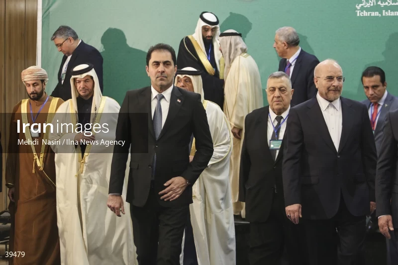 The fifth emergency session of the Permanent Committee on Palestine