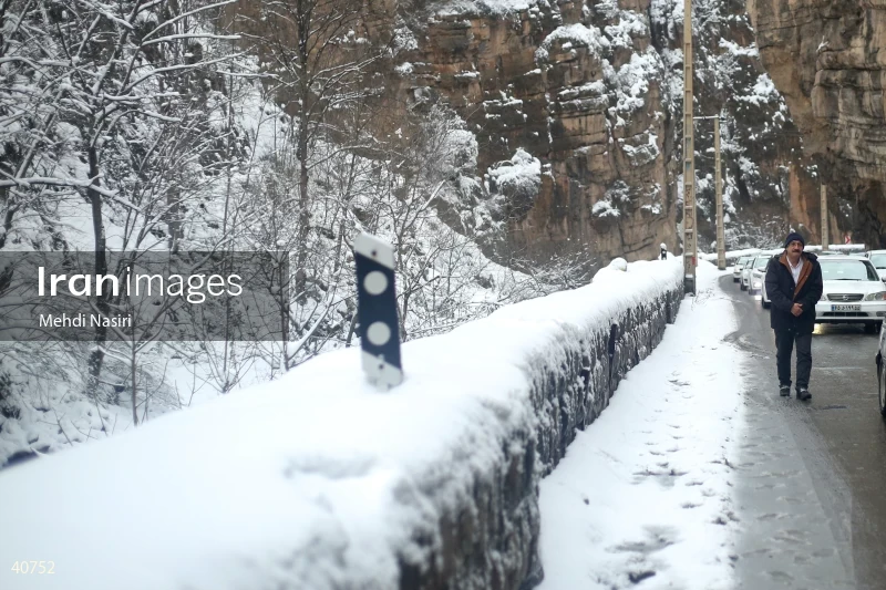 Chalus Road