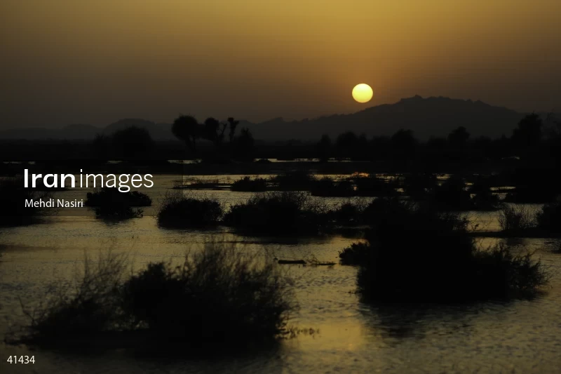 Floods in Dashtiari County
