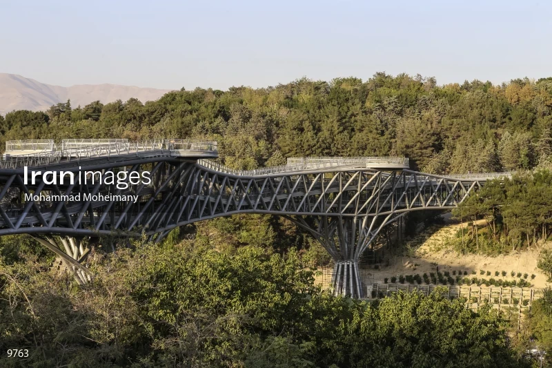 Tabiat Bridge