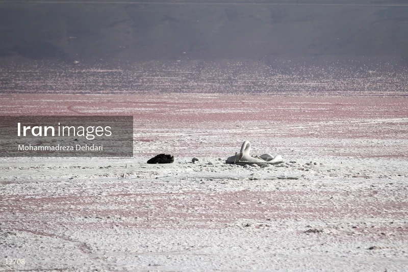 Maharloo Lake