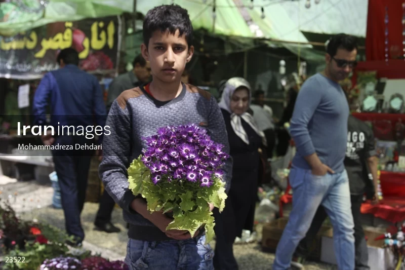 Qasr Aldasht flower market, Shiraz