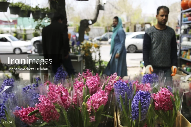 Qasr Aldasht flower market, Shiraz