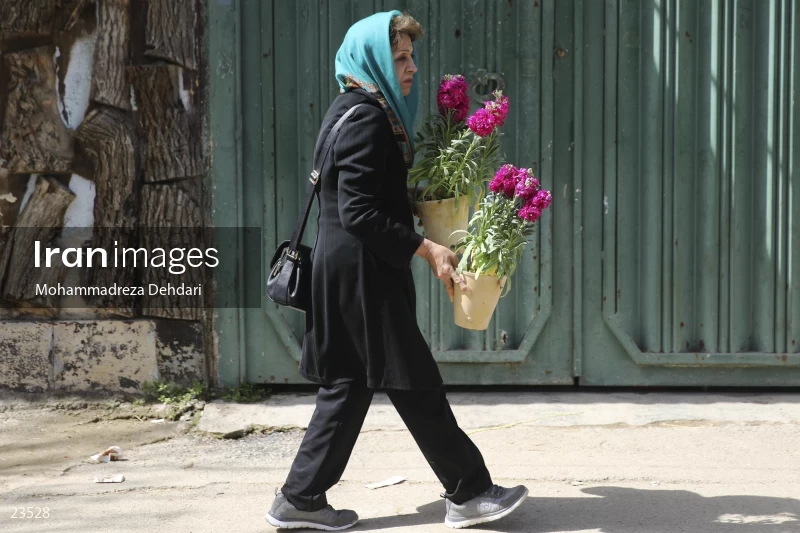 Qasr Aldasht flower market, Shiraz