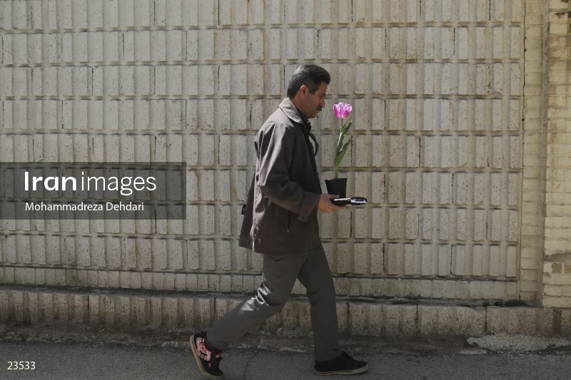 Qasr Aldasht flower market, Shiraz