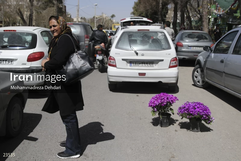 Qasr Aldasht flower market, Shiraz