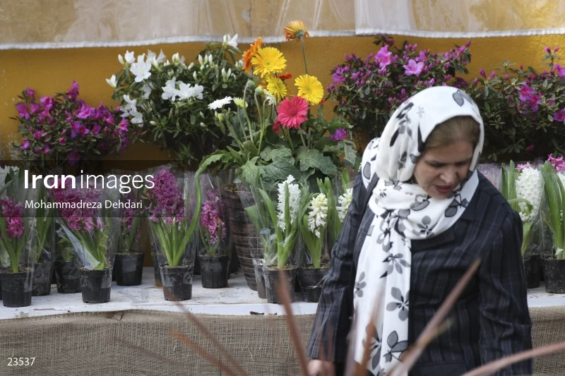 Qasr Aldasht flower market, Shiraz