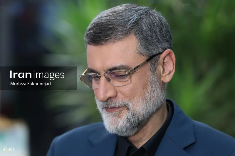 Seyed Amir-Hossein Ghazizadeh Hashemi on the Special News Talk Show on the News Network
