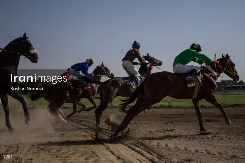 Tehran Horse Riding Summer Event