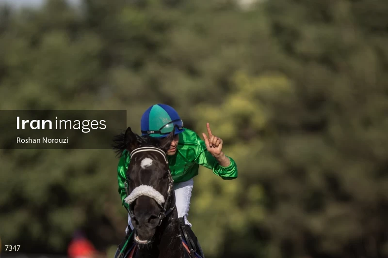 Tehran Horse Riding Summer Event