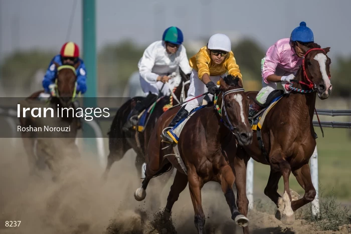 Tehran Horse Riding Summer Event