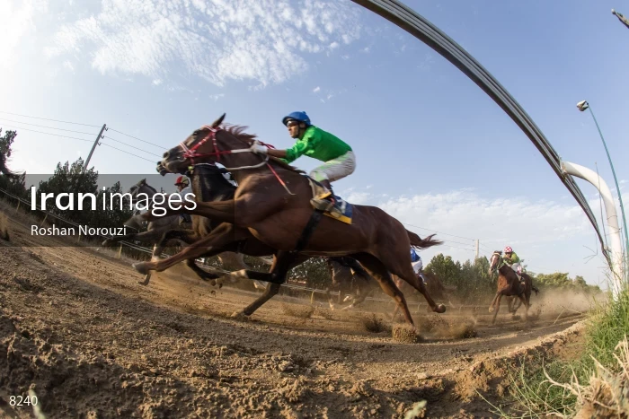 Tehran Horse Riding Summer Event