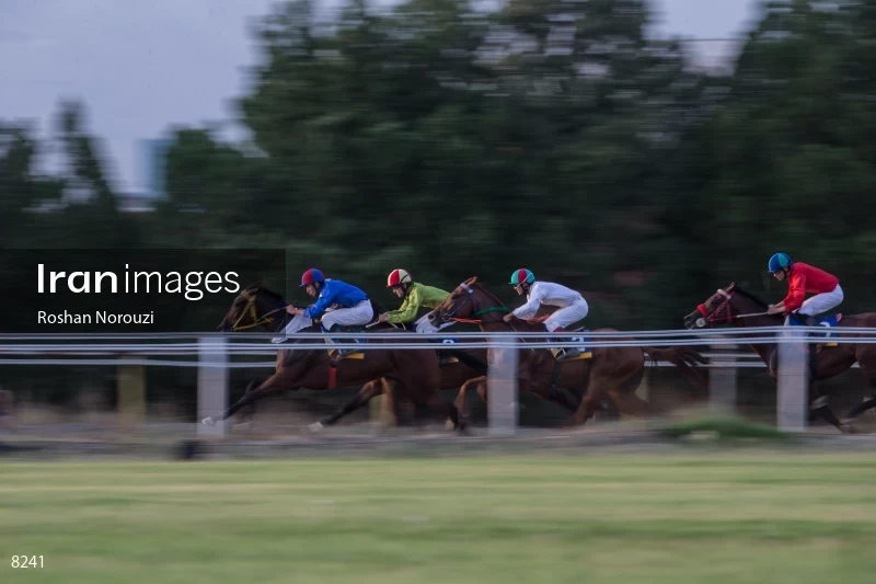 Tehran Horse Riding Summer Event