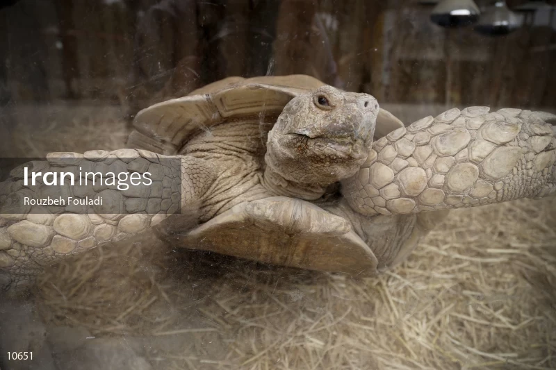 Tehran Zoological Garden