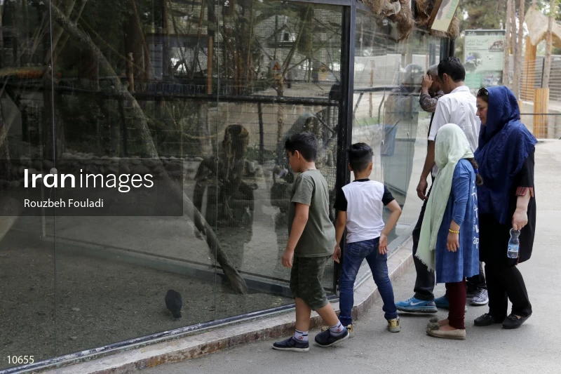 Tehran Zoological Garden