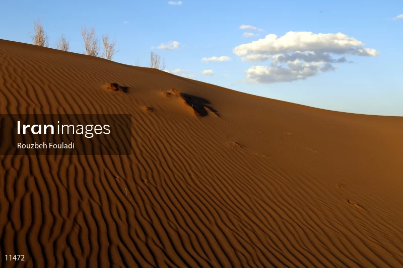 Mesr desert
