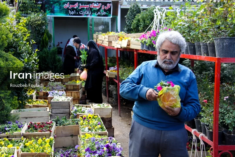 Tehran Flower Market