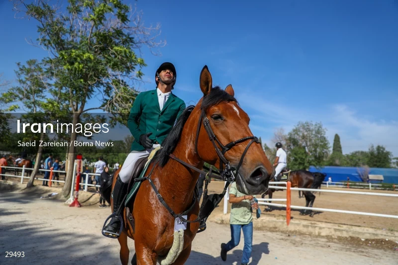 Armos Cup international horse jumping competition