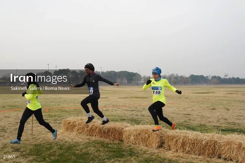 Cross country running competitions