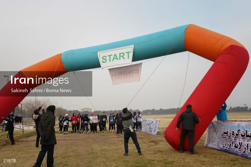 Cross country running competitions