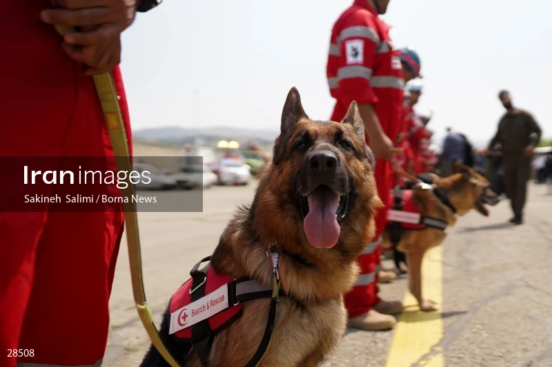Training operation of Iranian Red Crescent Society