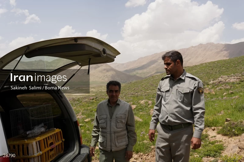 Releasing several species of birds in Lar National Park