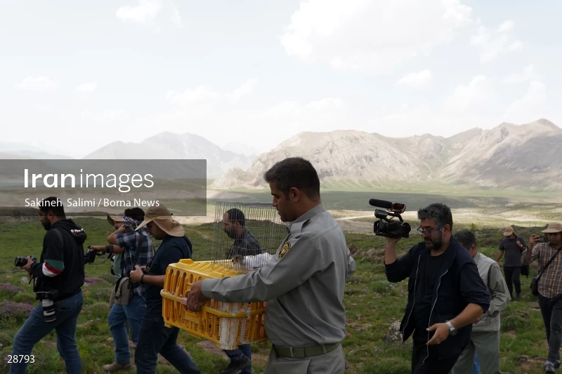 Releasing several species of birds in Lar National Park