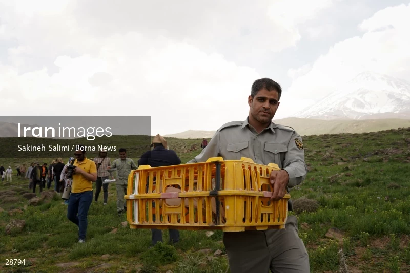 Releasing several species of birds in Lar National Park
