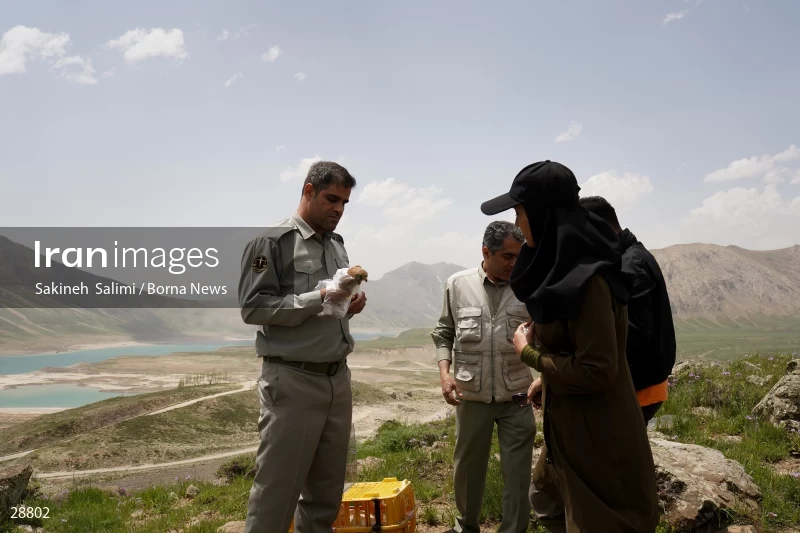 Releasing several species of birds in Lar National Park