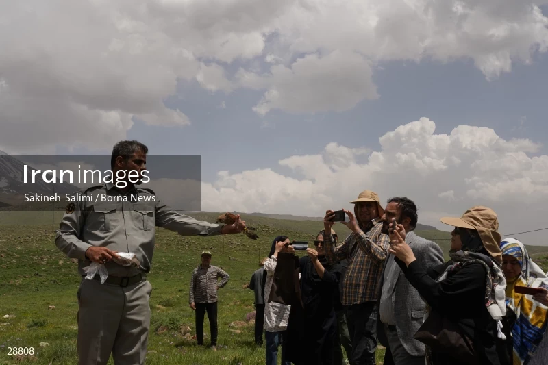 Releasing several species of birds in Lar National Park