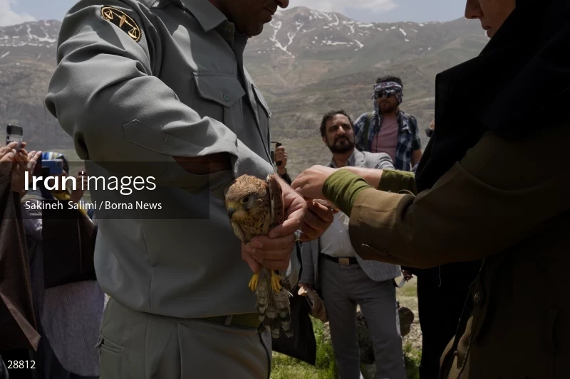 Releasing several species of birds in Lar National Park