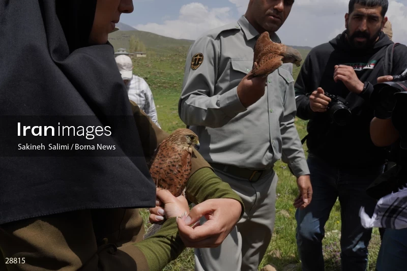 Releasing several species of birds in Lar National Park