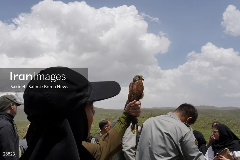 Releasing several species of birds in Lar National Park