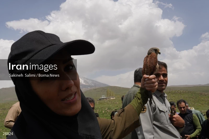 Releasing several species of birds in Lar National Park