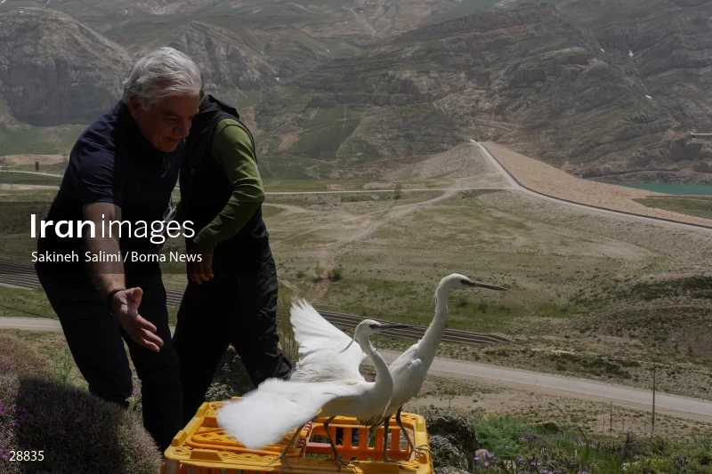 Releasing several species of birds in Lar National Park