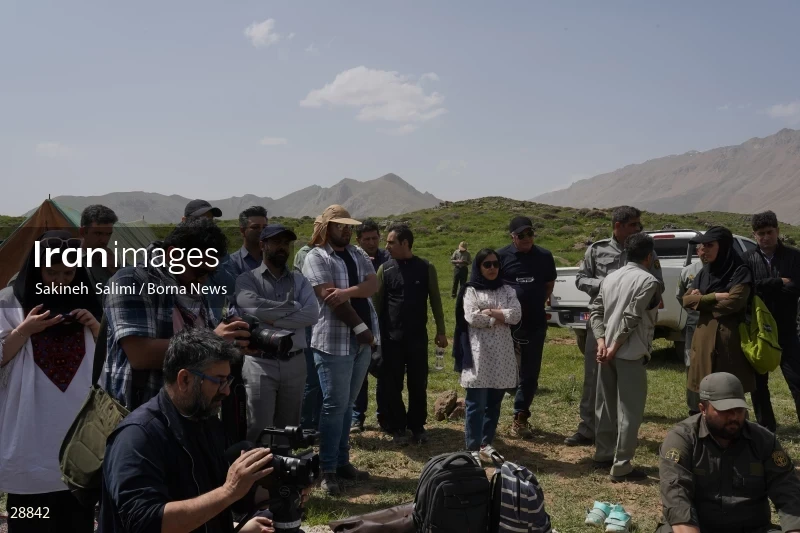Releasing several species of birds in Lar National Park