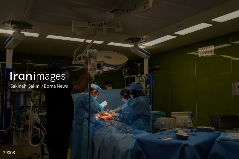 Organ donation surgery in Masih Daneshvari hospital