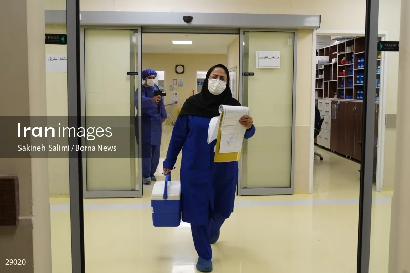 Organ donation surgery in Masih Daneshvari hospital