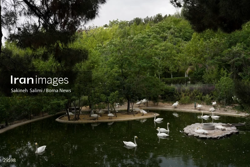 Tehran Birds Garden