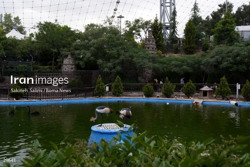 Tehran Birds Garden