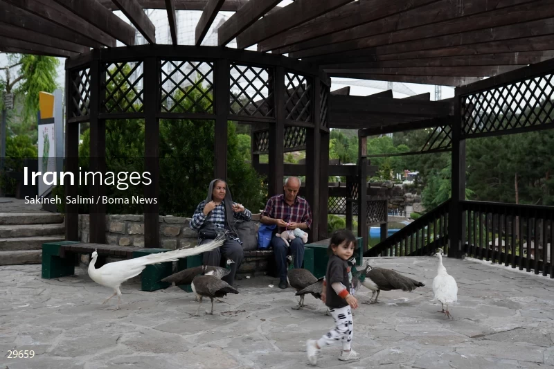Tehran Birds Garden