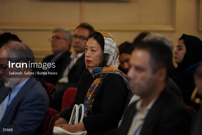 Iran and BRICS conference