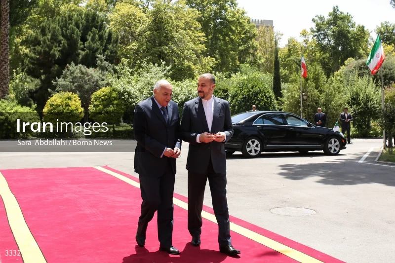 Meeting of foreign ministers of Iran and Algeria