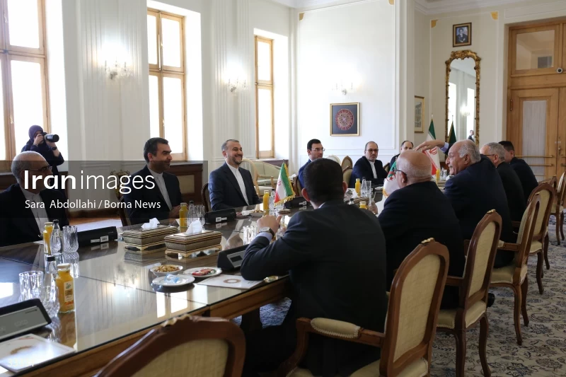 Meeting of foreign ministers of Iran and Algeria