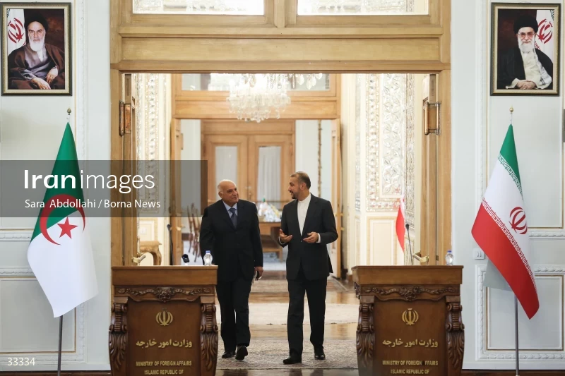Meeting of foreign ministers of Iran and Algeria