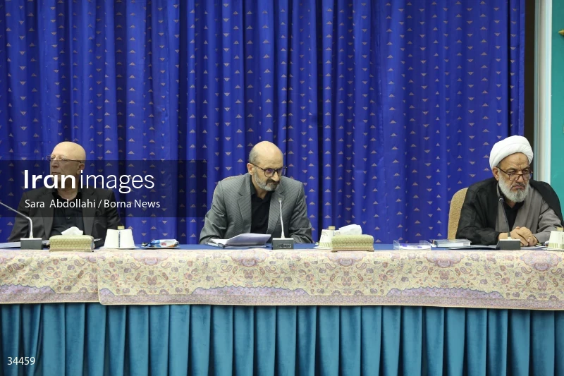Meeting of the National Virtual Space Center