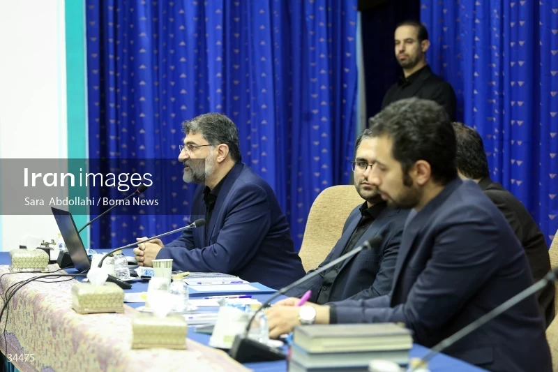 Meeting of the National Virtual Space Center